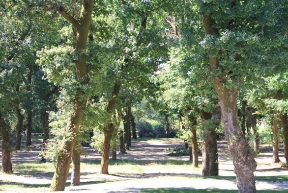 Alojamiento A Tafona Caldas De Reis Dış mekan fotoğraf